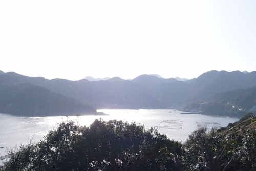 ▲R311の展望台。海がキラキラしてました
