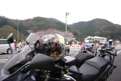 ▲集合場所の大津SA。桜が綺麗でした。