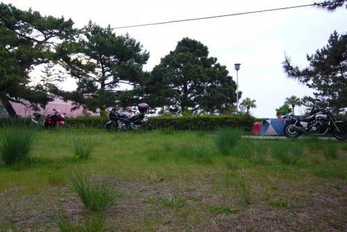 ▲キャンプ場の朝