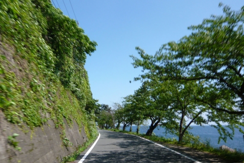 ▲緑いっぱいの海津大崎
