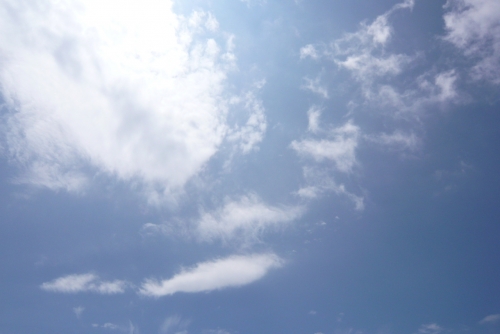 ▲今日も晴天でした！
