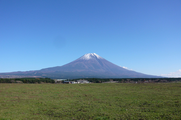 P1030132.jpg