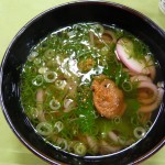 ▲紀ノ川SAにて「梅うどん」これ結構美味しかったよ！